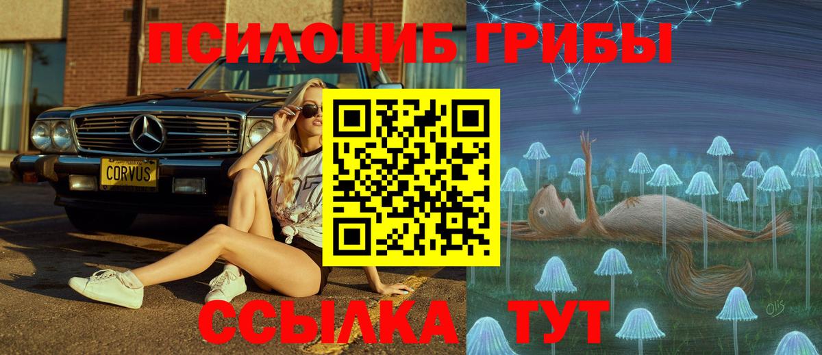 Галлюциногенные грибы прущие грибы  Вход с VPN  Омск 