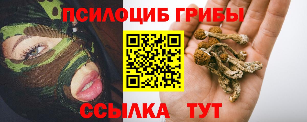 Галлюциногенные грибы Cubensis Омск